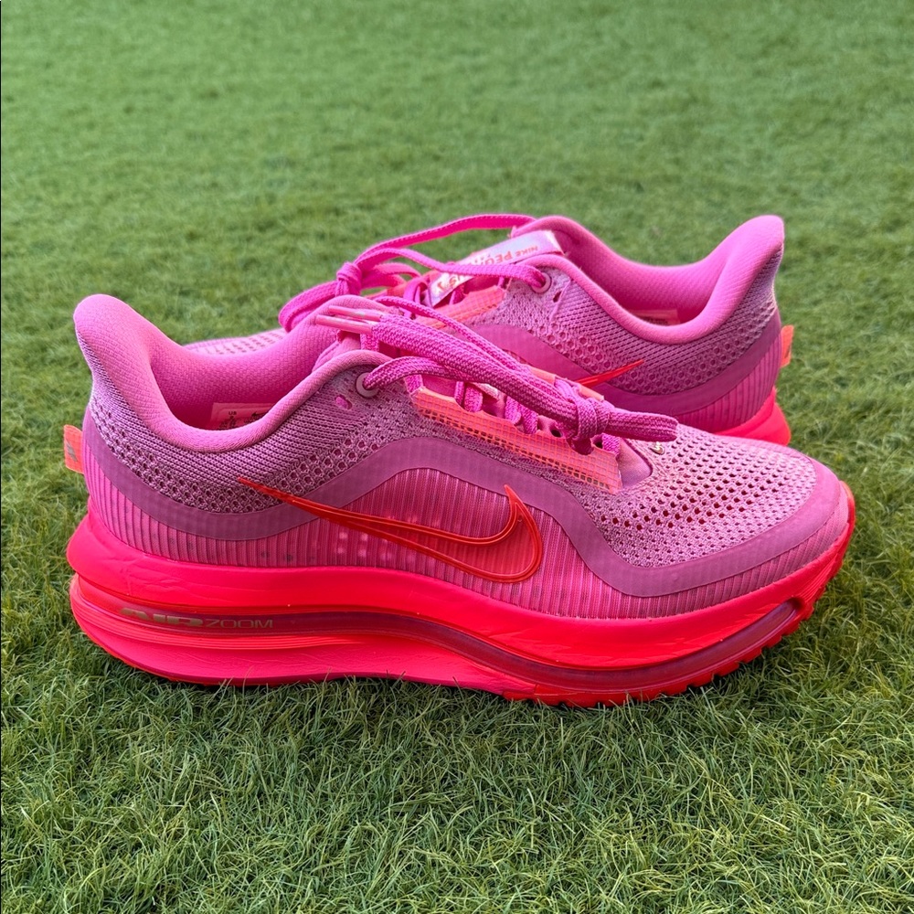 Nike Pegasus Premium